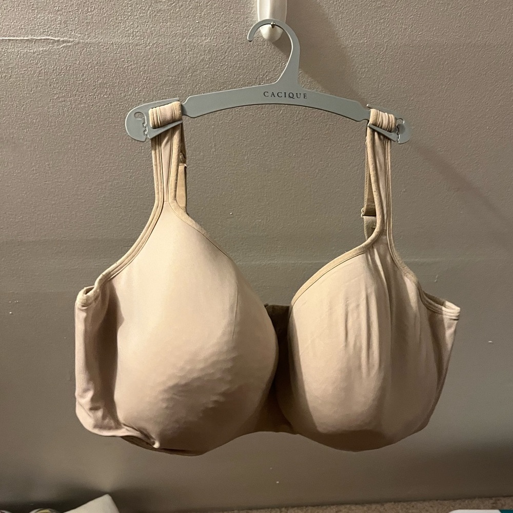 lane bryant cooling bra